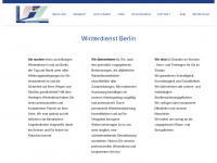 winter-service.com Webseite Vorschau