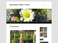 blumenfeld-sulgen.ch Webseite Vorschau