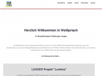 longa.at Webseite Vorschau