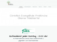 cfw-eg.org Webseite Vorschau