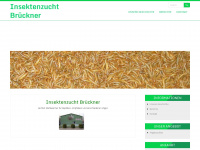 insektenzucht-brueckner.de Webseite Vorschau