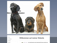 mein-tierpflegesalon.de Webseite Vorschau