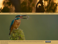 vienna-wildlife.com Webseite Vorschau