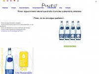 pineo.cat Webseite Vorschau