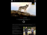 filmwolf.de Webseite Vorschau