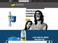 raidmexico.com.mx Webseite Vorschau