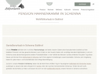 pension-hahnenkamm.com Webseite Vorschau