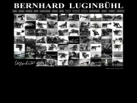 luginbuehlbernhard.ch Webseite Vorschau
