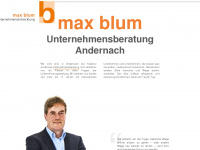 maxb-beratung.de Webseite Vorschau