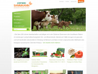 sannmann.com Webseite Vorschau