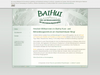 baihui-ffm.de Webseite Vorschau