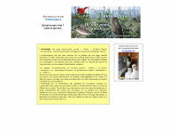 ornithologie.ca Webseite Vorschau