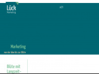 lueck-marketing.de Webseite Vorschau