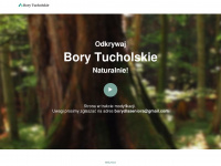 borytucholskie.pl Webseite Vorschau