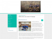 tsg-messel-volleyball.de Webseite Vorschau