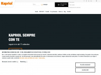 kapriol.com Webseite Vorschau