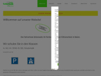 fahrschule-gruenewald-mainz.de Webseite Vorschau