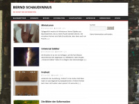berndschaudinnus.at Webseite Vorschau