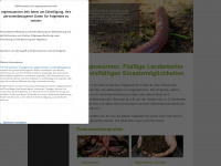regenwuermer.info Webseite Vorschau