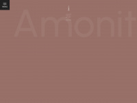 amonit.it Webseite Vorschau