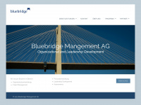 bluebridge.ch Webseite Vorschau