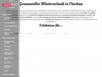 flachau.com Webseite Vorschau