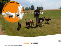 rudeltraining.ch Webseite Vorschau