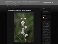 Alpenblumen.blogspot.com