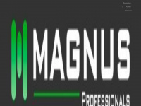 magnus-pro.de Webseite Vorschau
