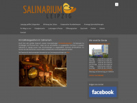 salzgrotte-salinarium.de Webseite Vorschau