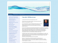 hillermann-finanz.de Webseite Vorschau