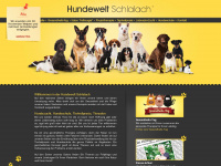hundewelt-schlalach.de Webseite Vorschau