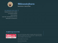 millionendorftouren.com Webseite Vorschau