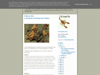 scorpion-files.blogspot.com Thumbnail