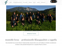 ensemble-focus.at Webseite Vorschau