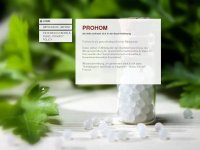 prohom.net Webseite Vorschau