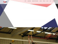 volleyball-tsvwinsen.de Webseite Vorschau