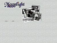 moonlightzippo.de Webseite Vorschau