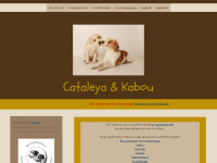 kabou-vom-rauhen-stein.de Webseite Vorschau