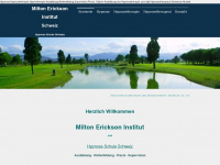 milton-erickson-institut-schweiz.ch Webseite Vorschau