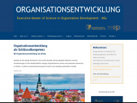 Masterorganisationsentwicklung.com