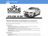 autoankaufnet.ch Webseite Vorschau