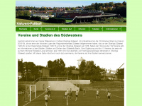 suedwest-fussball.de Webseite Vorschau