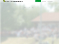 pfingstturnier-scharenstetten.de Webseite Vorschau