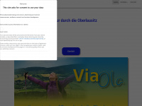 viaola.de Webseite Vorschau