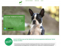 boston-terrier-schweiz.ch Webseite Vorschau