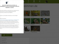 deutsche-vogelstimmen.de Webseite Vorschau