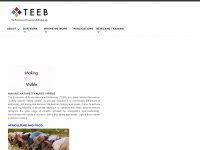 teebweb.org Webseite Vorschau