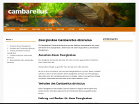 zwergkrebse-cambarellus.de Webseite Vorschau