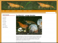 orange-garnelen.de Webseite Vorschau